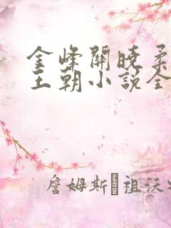 金峰关晓柔大康王朝小说全文免费阅读