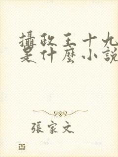 摄政王十九皇叔是什么小说,重生大婚第一天