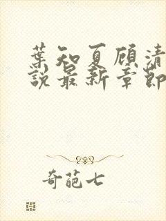 叶知夏顾清淮小说最新章节免费阅读