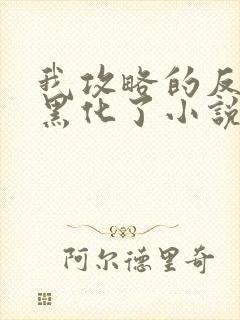 我攻略的反派都黑化了小说无弹窗