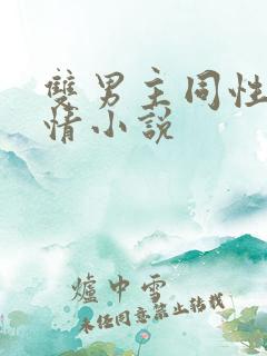 双男主同性恋言情小说