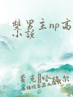 双男主np高h小说
