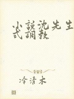 小说沈先生的花式调教