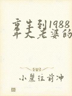 重生到1988年大老婆的小说