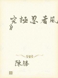 究极忍者风暴4》