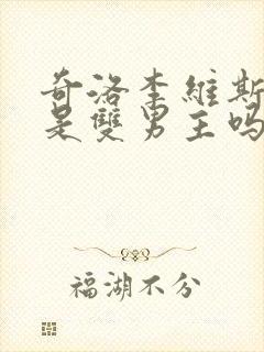 奇洛李维斯回信是双男主吗