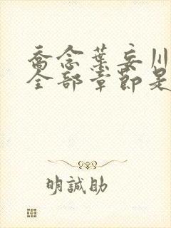 乔念叶妄川小说全部章节是多少节