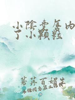 小阴囊唇内侧长了小颗粒