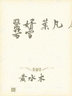 医婿 叶凡 唐若雪