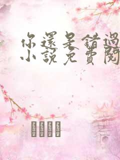 你还是错过我了小说免费阅读