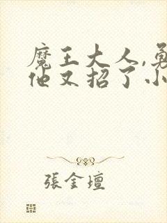 魔王大人,勇者他又招了小说免费阅读
