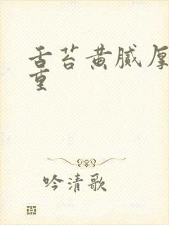 舌苔黄腻厚湿气重