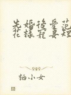 先婚后爱范总的花样宠妻短剧免费观看