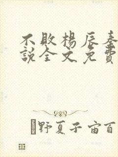 不败杨辰秦惜小说全文免费阅读