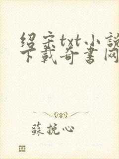 绍宋txt小说下载奇书网