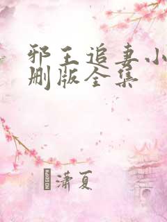 邪王追妻小说未删版全集