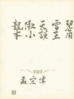龙傲天雪儿是哪本小说主角