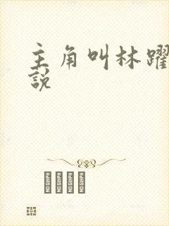 主角叫林跃的小说