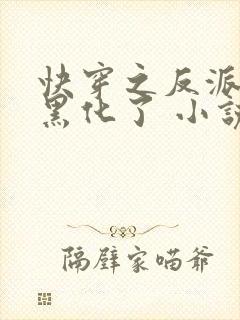 快穿之反派终于黑化了 小说