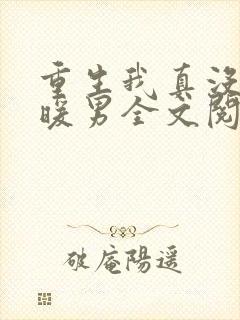 重生我真没想当暖男全文阅读