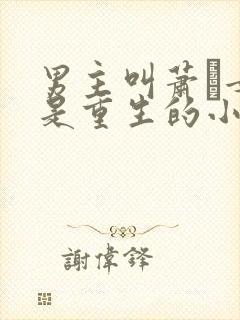 男主叫萧玦女主是重生的小说