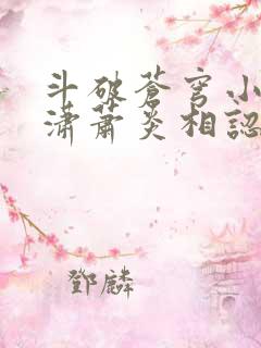 斗破苍穹小说潇潇萧炎相认