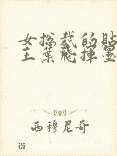 女总裁的贴身兵王叶飞挥墨客