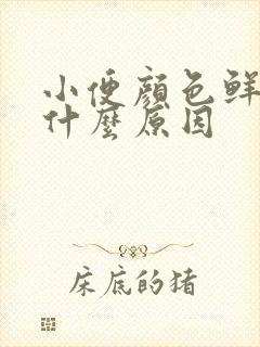 小便颜色鲜黄是什么原因