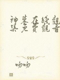 神墓在线观看全集免费观看动漫第二季