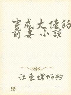 穿成大佬的私奔前妻 小说