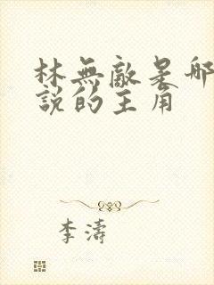 林无敌是哪部小说的主角