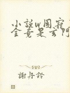 小说w团宠真千金竟是玄门大佬》