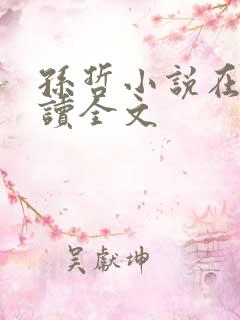 孙哲小说在线阅读全文