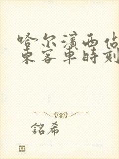 哈尔滨西站到肇东客车时刻表查询