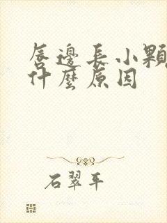 唇边长小颗粒是什么原因