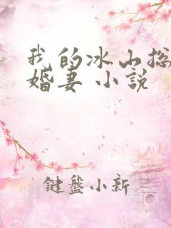 我的冰山总裁未婚妻 小说