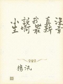 小说我真没想重生啊最新章节