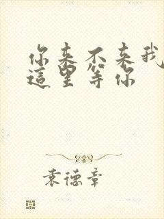 你来不来我都在这里等你