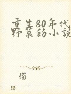 重生80年代卖野菜的小说