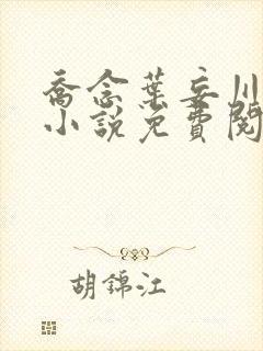 乔念叶妄川正版小说免费阅读