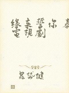 缘来誓你 泰剧电视剧