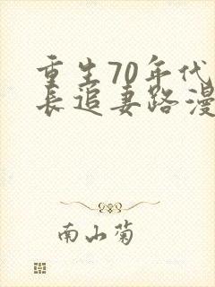 重生70年代团长追妻路漫漫小说