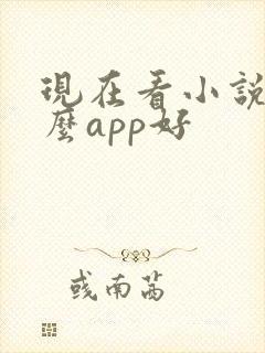 现在看小说用什么app好