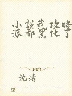 小说我攻略的反派都黑化了最新章节