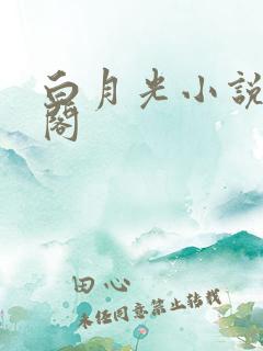 白月光小说笔趣阁