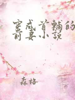穿成首辅的炮灰前妻小说