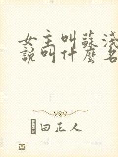 女主叫苏浅的小说叫什么名字