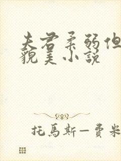 夫君柔弱但器大貌美小说