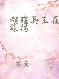 超强兵王在都市苏扬