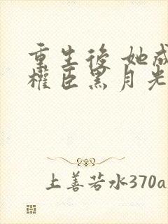 重生后 她成了权臣黑月光